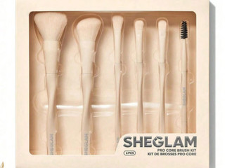 ست براش 6 عددی شیگلم مدل Pro Core Brush Kit مناسب آرایش صورت و چشم
